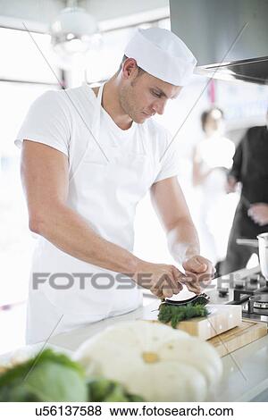 Stock Photo - Male chef mixing using herb chopper in commercial kitchen. Fotosearch