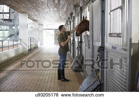 Stock Photo - Male stablehand petting horse in stables. Fotosearch