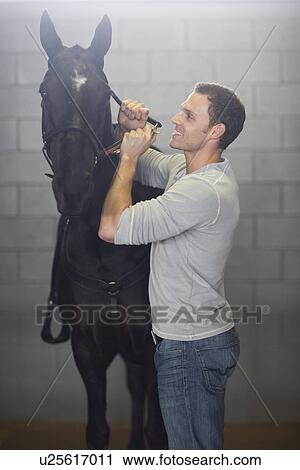 Male stablehand putting bridle onto horse in stables View Large Photo Image Stock Image - Male stablehand putting bridle onto horse in stables. Fotosearch