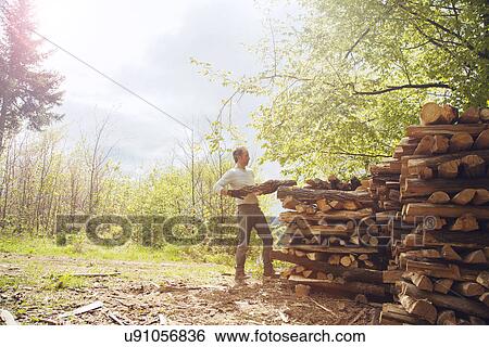 Stock Photograph - Man stacking cut wood. Fotosearch