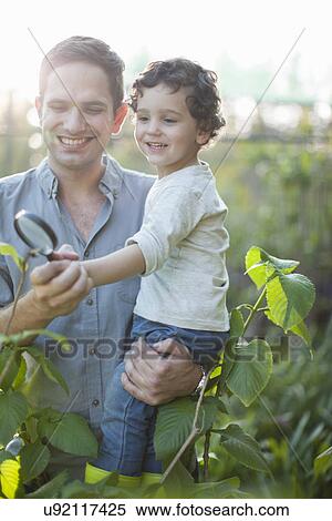 Stock Photography - Mid adult man and son looking at plants on allotment. Fotosearch