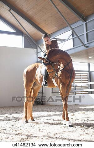 Mid adult woman on chestnut horse in indoor paddock View Large Photo Image Picture - Mid adult woman on chestnut horse in indoor paddock. Fotosearch