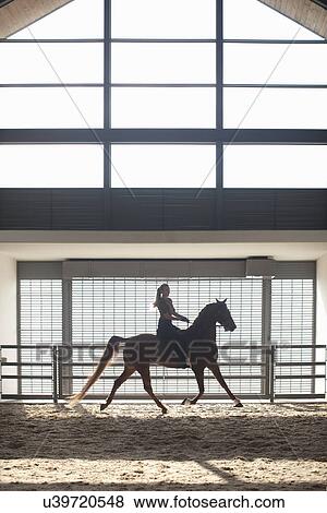 Stock Photo - Mid adult woman trotting on chestnut horse in indoor paddock. Fotosearch