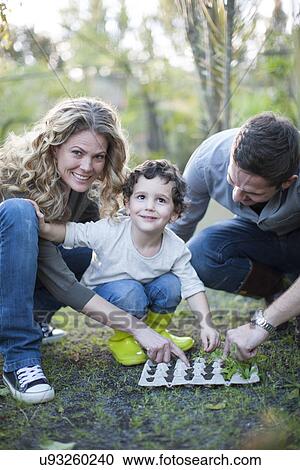 Stock Image - Mid couple and son planting in egg cartons on allotment. Fotosearch