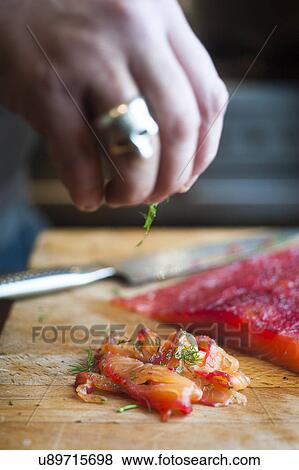 Person sprinkling dill on gravlax View Large Photo Image Stock Photo - Person sprinkling dill on gravlax. Fotosearch