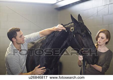 Stock Photo - Stablehands grooming black horse in stables. Fotosearch