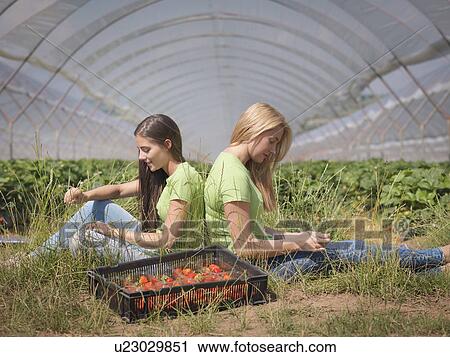 Stock Image - Strawberry pickers resting near polytunnel of fruit farm. Fotosearch