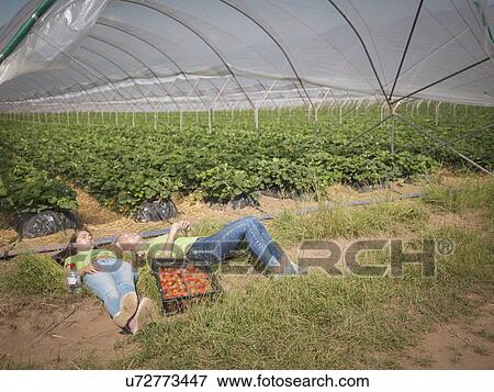Stock Photo - Strawberry pickers resting near polytunnel of fruit farm. Fotosearch