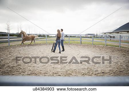 Two stablehands training palomino horse in paddock ring View Large Photo Image Stock Image - Two stablehands training palomino horse in paddock ring. Fotosearch