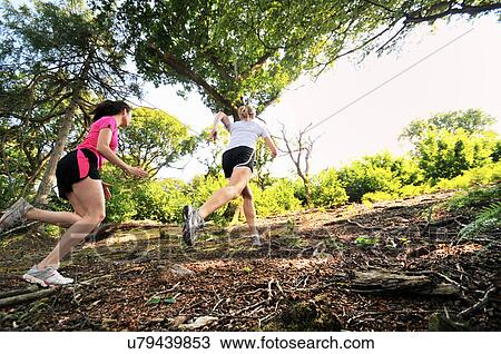 Stock Image - Two young women runners running up forest track. Fotosearch