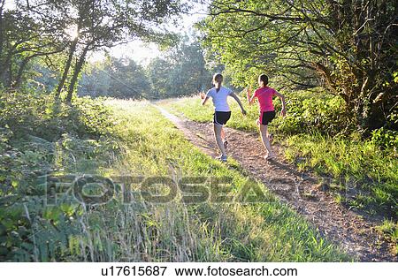 Two young women runners running up forest track in morning View Large Photo Image Stock Photo - Two young women runners running up forest track in morning. Fotosearch