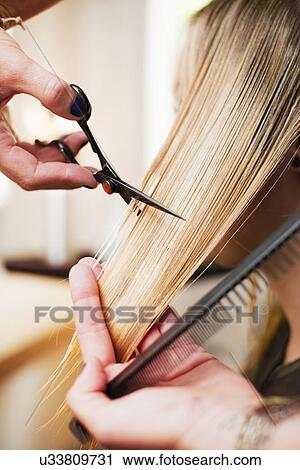 Woman having haircut in salon View Large Photo Image Stock Image - Woman having haircut in salon. Fotosearch