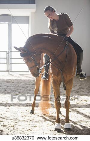 Woman riding chestnut horse in indoor paddock View Large Photo Image Stock Image - Woman riding chestnut horse in indoor paddock. Fotosearch