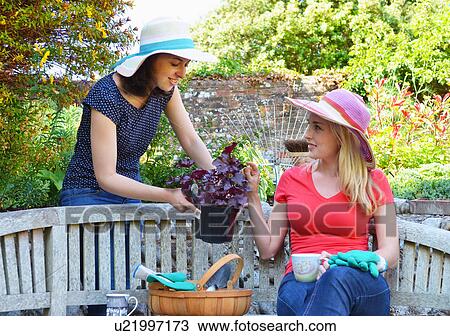 Stock Image - Young woman sitting on bench, friend showing plant. Fotosearch