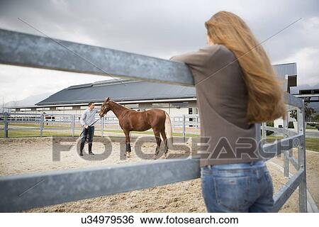 Young woman watching stablehand train horse in paddock ring View Large Photo Image Stock Photograph - Young woman watching stablehand train horse in paddock ring. Fotosearch