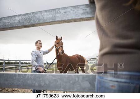 Young woman watching stablehand with horse in paddock ring View Large Photo Image Stock Image - Young woman watching stablehand with horse in paddock ring. Fotosearch