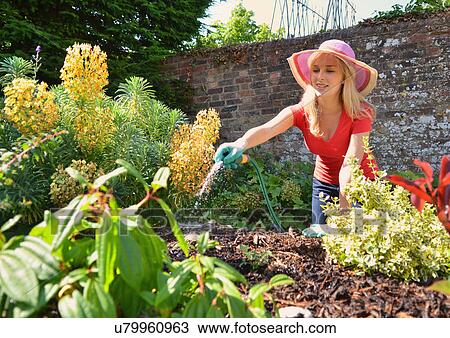 Stock Image - Young woman watering garden with hosepipe. Fotosearch