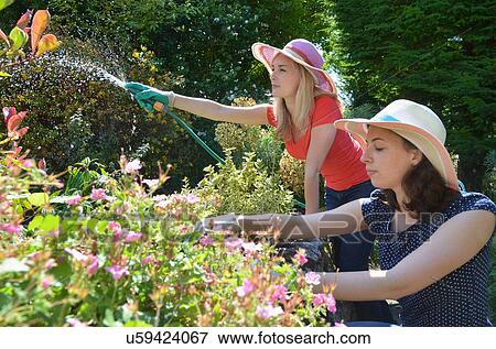 Stock Photo - Young women watering garden with hosepipe. Fotosearch