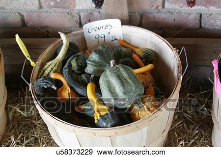 Gourds View Large Photo Image Stock Photo - Gourds . Fotosearch