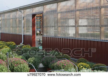 Greenhouse View Large Photo Image Stock Image - Greenhouse. Fotosearch