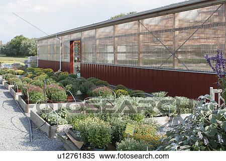 Greenhouse View Large Photo Image Stock Photography - Greenhouse . Fotosearch