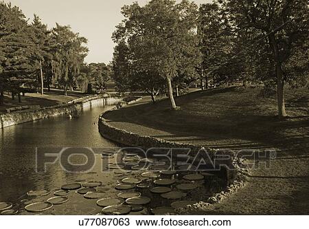 Stock Image - River through a park in black and white. Fotosearch