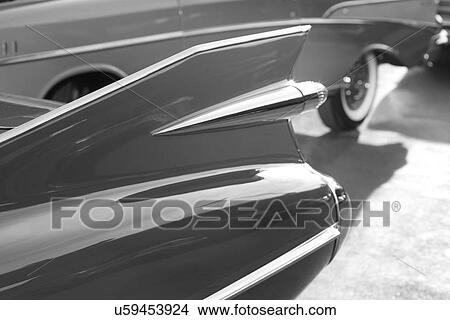 Tail fin View Large Photo Image Picture - Tail fin. Fotosearch