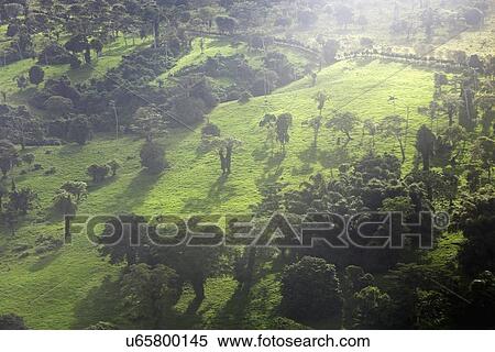 Aerial view of Efate Island View Large Photo Image Stock Photography - Aerial view of Efate Island. Fotosearch