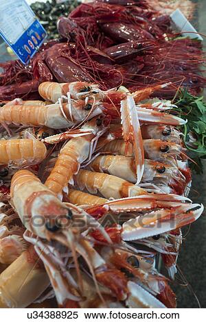 Close up of langoustines View Large Photo Image Stock Photography - Close up of langoustines. Fotosearch