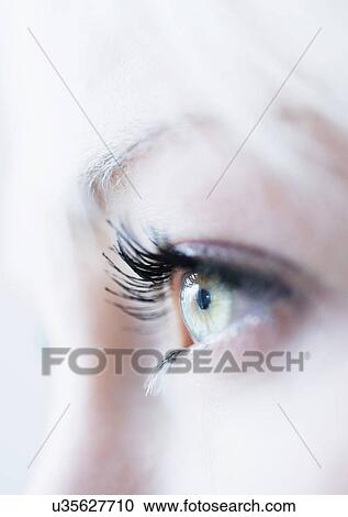 Close-up of woman's eye View Large Photo Image Stock Image - Close-up of woman's eye. Fotosearch