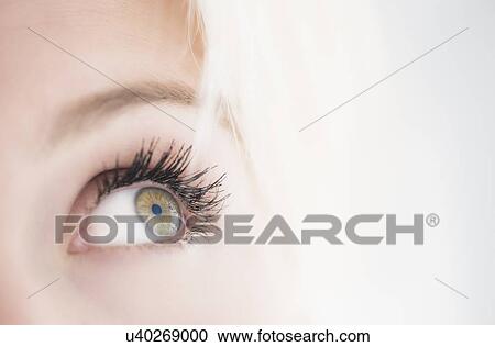 Close-up of woman's eye View Large Photo Image Stock Image - Close-up of woman's eye. Fotosearch