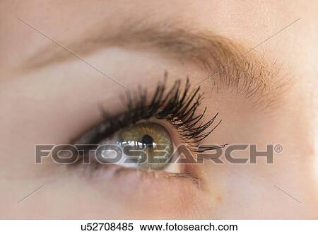 Close-up of woman's eye View Large Photo Image Stock Photography - Close-up of woman's eye. Fotosearch