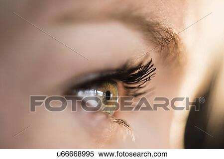 Close-up of woman's eye View Large Photo Image Stock Photography - Close-up of woman's eye. Fotosearch