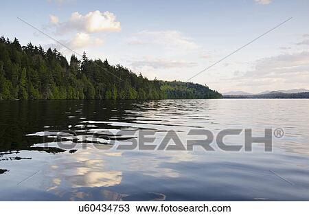 Stock Image - Clouds and forest reflecting in lake. Fotosearch