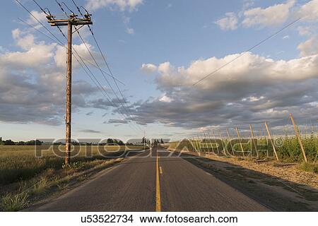 Picture - Empty road in diminishing perspective. Fotosearch