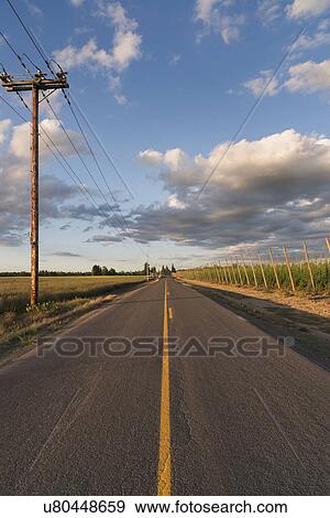 Stock Photo - Empty road in diminishing perspective. Fotosearch