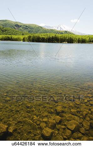 Picture - Mount St Helen's. Fotosearch