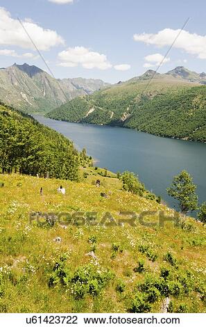 Stock Image - Mount St Helen's. Fotosearch