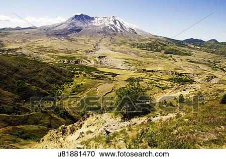 Mount St Helen's View Large Photo Image Stock Image - Mount St Helen's. Fotosearch