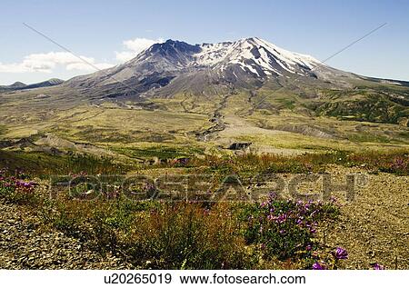 Stock Photo - Mount St Helen's. Fotosearch