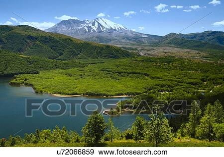 Stock Photo - Mount St Helen's. Fotosearch