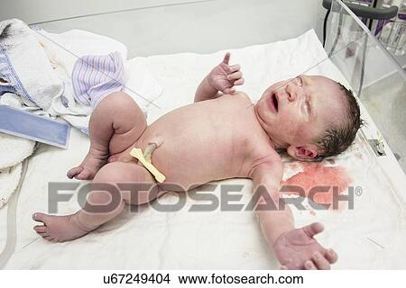 Newborn girl View Large Photo Image Picture - Newborn girl. Fotosearch