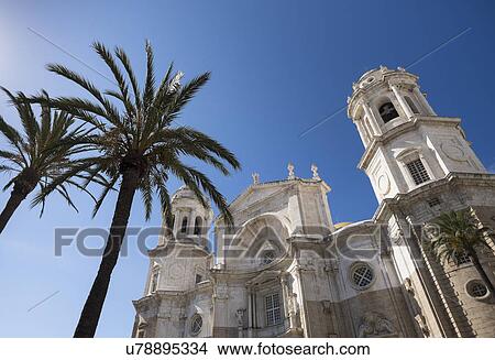 Palm trees in front of Cathedral View Large Photo Image Picture - Palm trees in front of Cathedral. Fotosearch