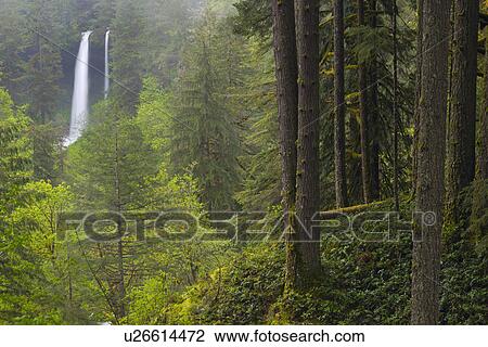 Silver state park with waterfall in background View Large Photo Image Stock Image - Silver state park with waterfall in background. Fotosearch