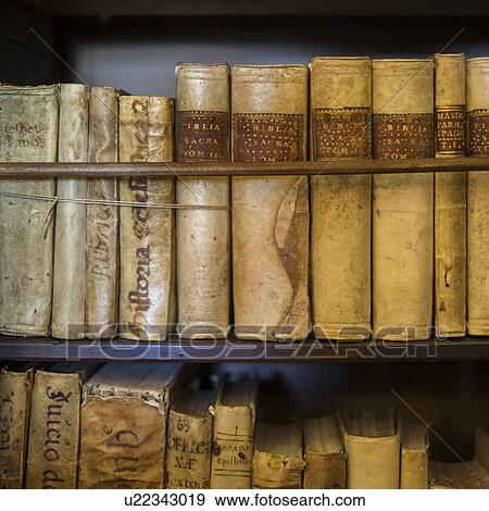 Spain, Mallorca, Monastery in Valldemossa, Books in library View Large Photo Image Stock Photo - Spain, Mallorca, Monastery in Valldemossa, Books in library. Fotosearch