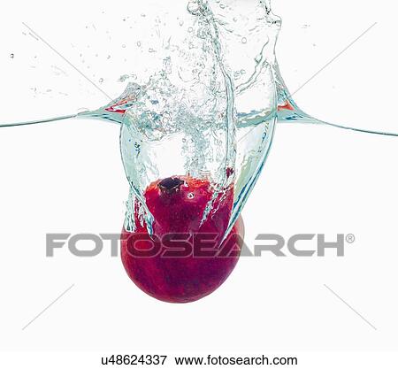 Stock Photo - Studio shot of pomegranate falling into water. Fotosearch