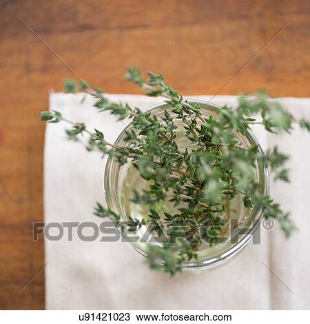 Thyme in jar View Large Photo Image Stock Image - Thyme in jar. Fotosearch