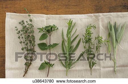 Variation of herbs on table View Large Photo Image Stock Image - Variation of herbs on table. Fotosearch