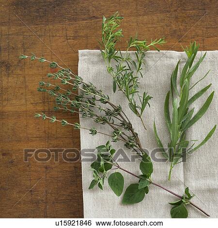 Stock Photograph - Variation of herbs on table. Fotosearch