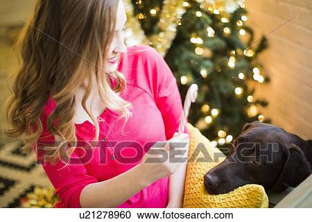 Stock Image - Woman showing candy cane to chocolate Labrador at Christmas. Fotosearch